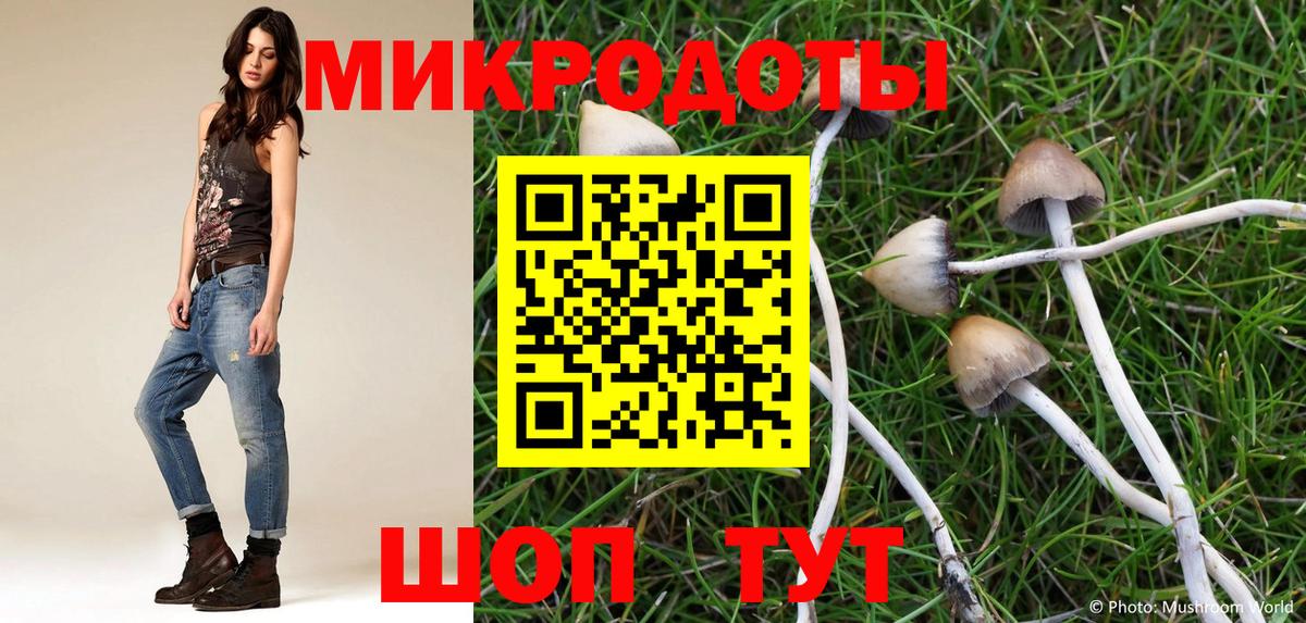 Наро-Фоминск  Галлюциногенные грибы GOLDEN TEACHER  Галлюциногенные грибы Psilocybe  Вход с VPN 